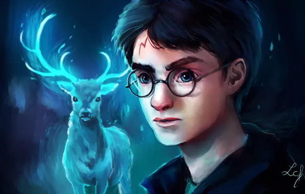 Picture art, Harry Potter, by Ludmila-Cera-Foce