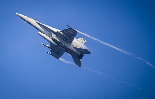 Flight, Super Hornet, carrier-based fighter, FA-18F
