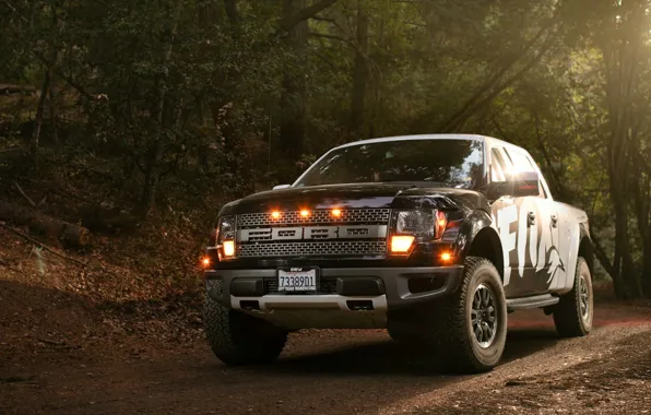 Picture forest, leaves, lights, Ford, Raptor, F-150