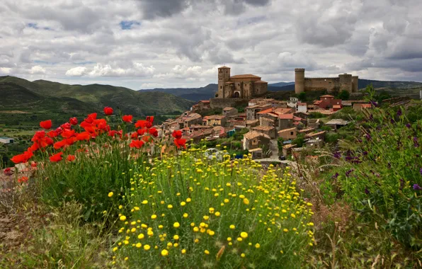 Flowers, the city, castle, view, building, Maki, architecture, ancient