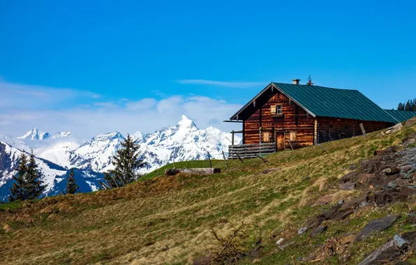 Picture mountains, Austria, house