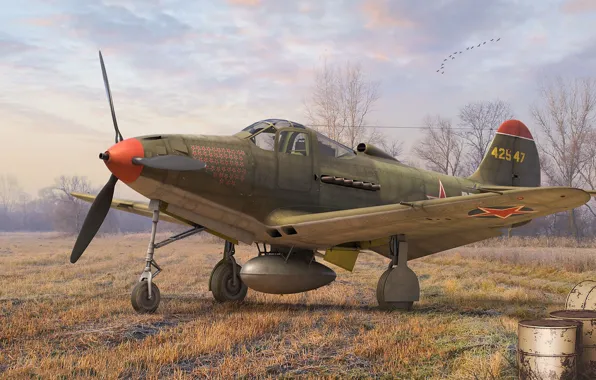 Picture fighter, USSR, THE RED ARMY AIR FORCE, Antonis Karidis, Lend-lease, Bell P-39 Airacobra