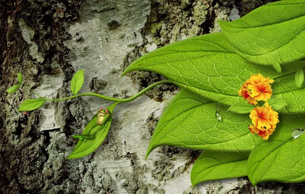 Leaves, drops, flowers, tree, frog, bark