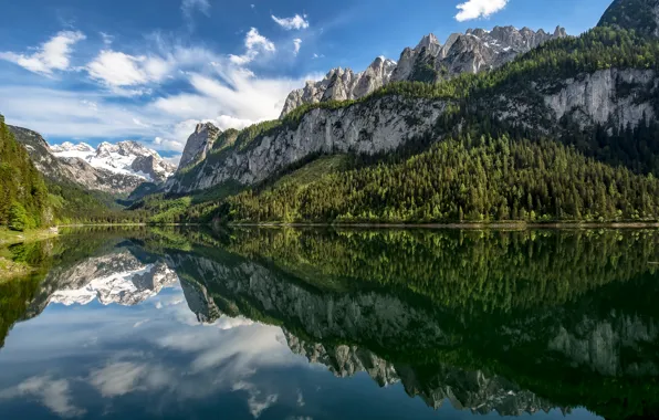Forest, mountains, lake, reflection, Austria, Alps, Austria, Alps
