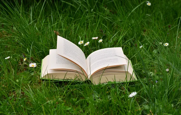 Picture flower, grass, nature, plants, book