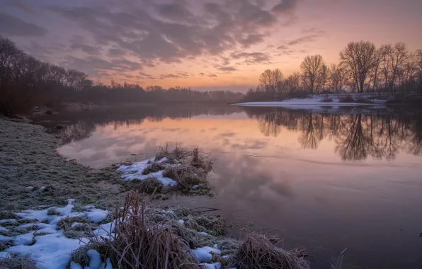 Picture frost, water, river, dawn, morning, frost, Gums