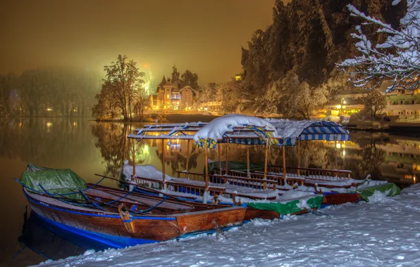 Picture winter, snow, trees, night, lights, lake, shore, home