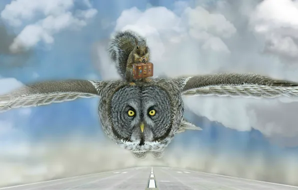 Picture road, clouds, flight, owl, bird, photoshop, protein, suitcase