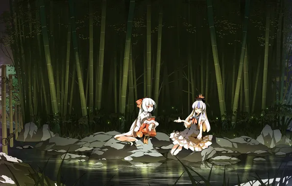 Picture night, girls, the game, anime, river, Touhou Project