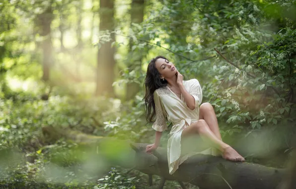 Trees, nature, foliage, dress, legs, dress, legs, trees