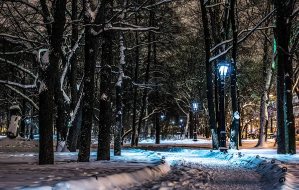 Night, garden, lights, Saint Petersburg, deserted city