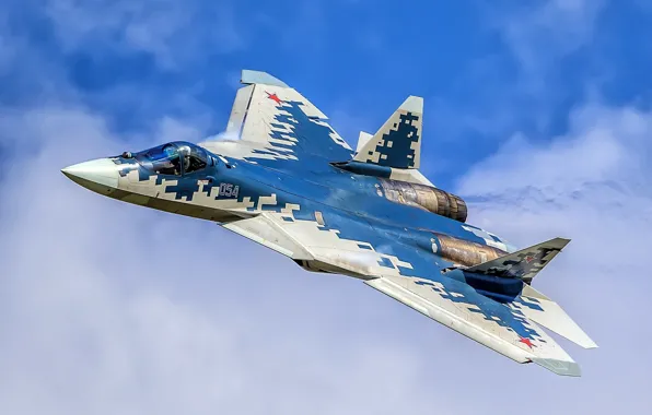 Picture the sky, the plane, combat aircraft