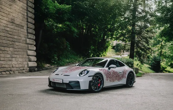 Porsche, supercar, supercar, Porsche 911 GT3, the only instance, 2025, the only instance, Letzebuerg Legacy