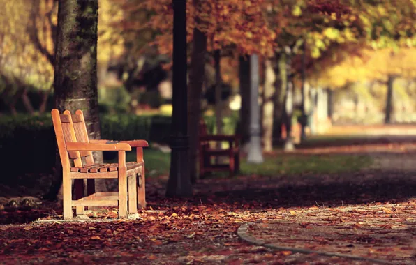 Picture autumn, the city, street, bench