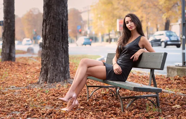 Picture shoes, sexy, foliage, model, hair, beauty, Nicole, bench