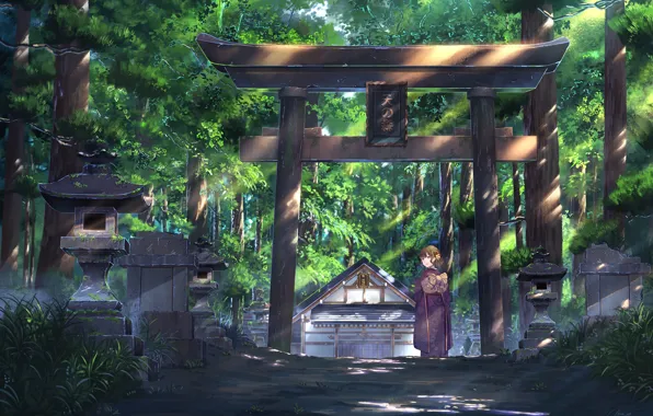 Girl, nature, temple, torii, NIK