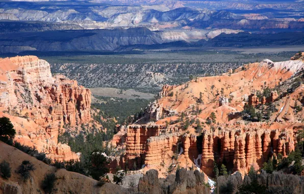 Colorado, canyon, USA