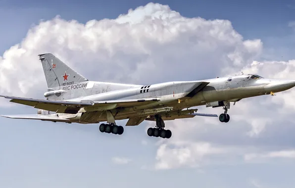 Picture Tu-22M3, with variable sweep wing, submarine bomber, Soviet long-range supersonic