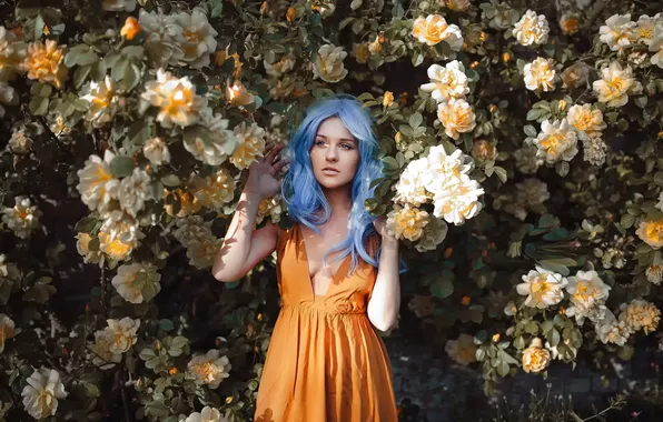 Picture girl, roses, neckline, blue hair, Alexandra Cameron, Rosie in the roses