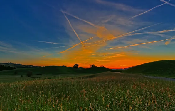 Field, the sky, grass, clouds, trees, sunset, glow