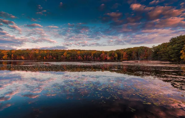 Autumn, the sky, water, clouds, reflection, trees, New York, Harriman State Park