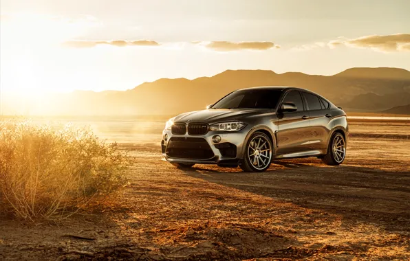 The sun, design, desert, rays of light, BMW X6M