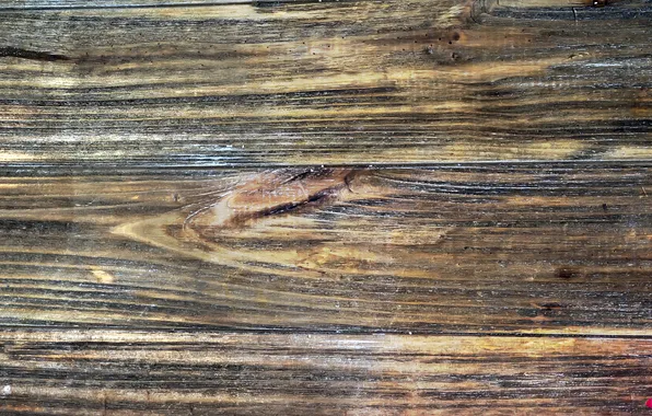 Color, wood, texture