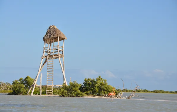 Landscape, nature, lake, tower, Flamingo