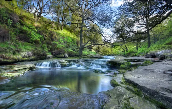 Trees, river, the slopes, England, England, national Park Peak district, Peak District National Park