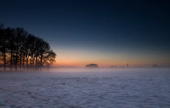Winter, snow, trees, landscapes, fog tree