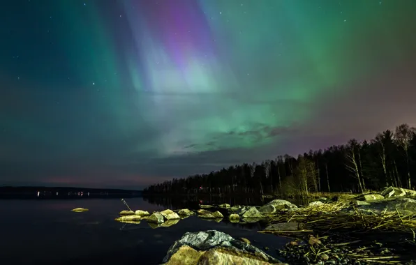 The sky, stars, trees, stones, Northern lights, Sweden