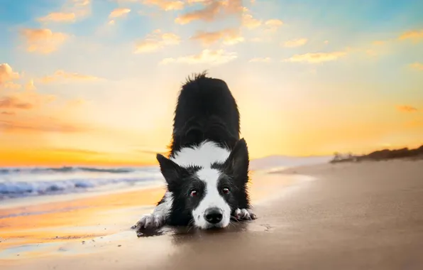 Sand, sea, the sky, look, clouds, sunset, nature, pose