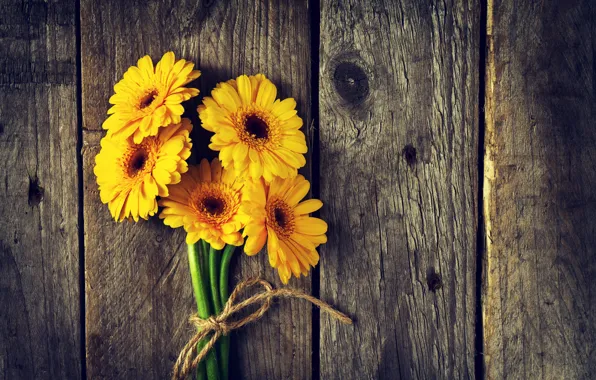 Flowers, yellow, Board, gerbera