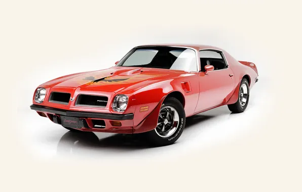 White background, Pontiac, Pontiac, Firebird, 1974, Firebird.