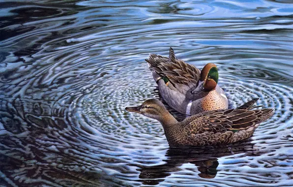 Water, duck, art, a couple, Harold Roe