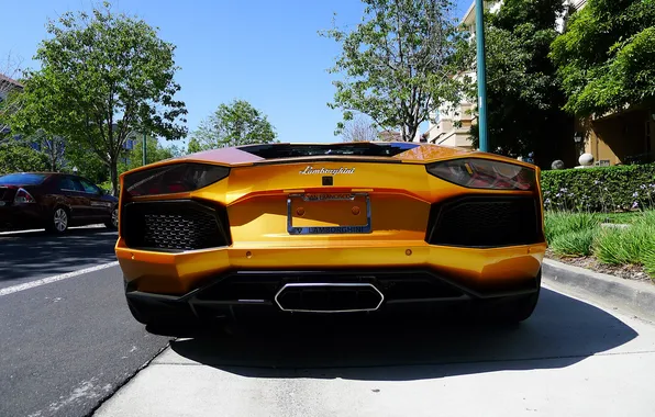Trees, street, Lamborghini, yellow, back, LP700-4, Aventador, Lamborghini