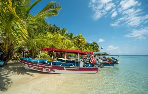Sand, sea, beach, the sky, the sun, clouds, tropics, palm trees