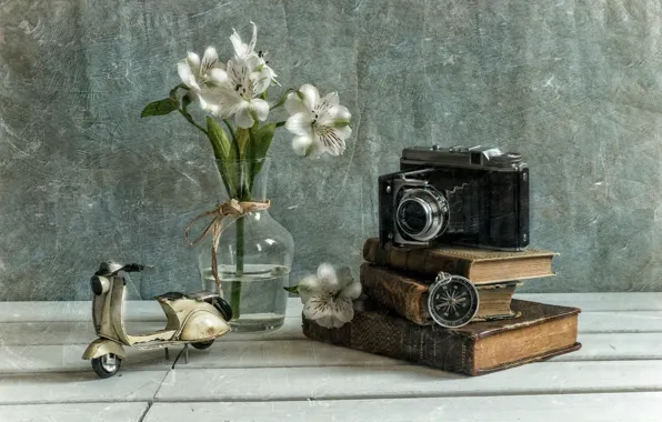 Flowers, texture, camera, compass