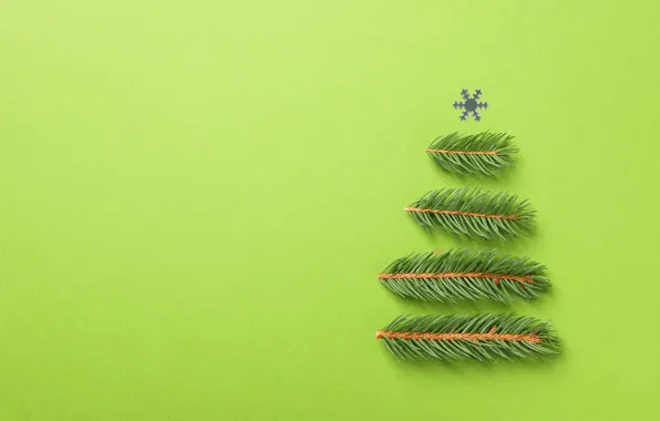 Picture needles, herringbone, Christmas decorations, Christmas, green background, new year