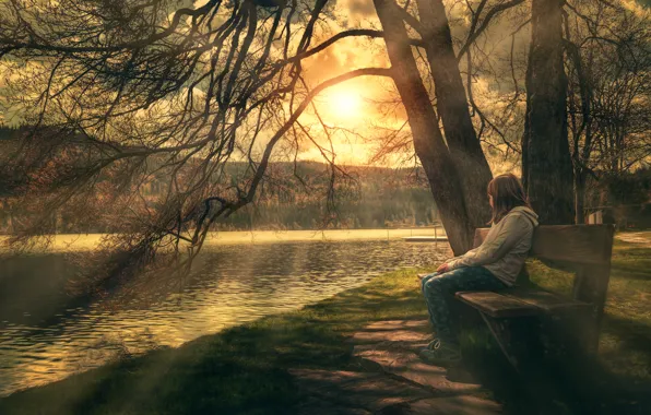 Picture trees, shore, treatment, relax, girl, bench, enjoy