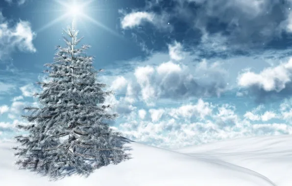 The sky, the sun, snow, herringbone