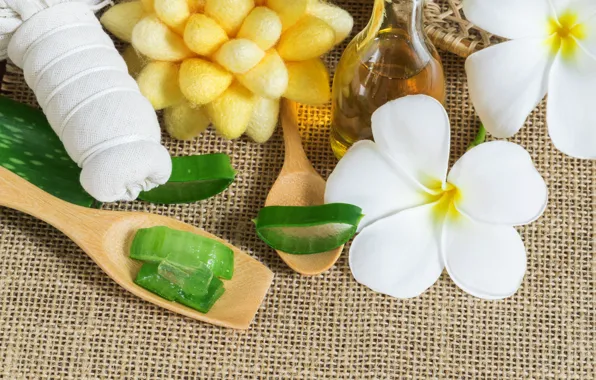 Flowers, flowers, Spa, Spa, aloe, plumeria, aloe, plumeria