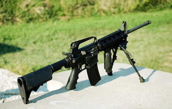 Weapons, AR-15, assault rifle, fry