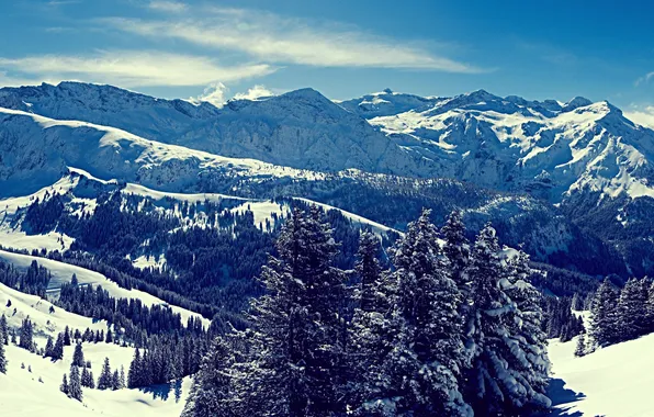 Winter, the sky, snow, trees, mountains, mountain, snowy peaks