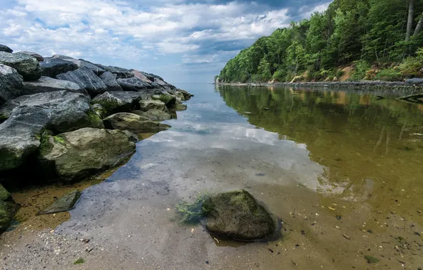 The sky, clouds, trees, lake, stones, shore