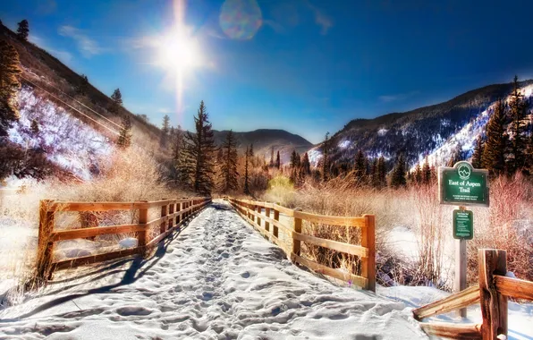 Winter, the sun, snow, mountains, nature, track, Aspen