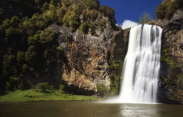 Forest, stones, waterfall