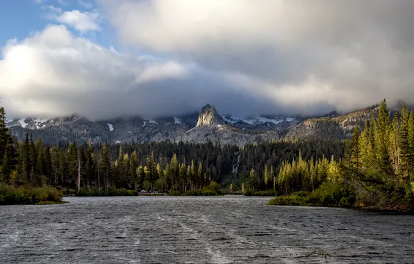 Forest, the sky, clouds, light, snow, mountains, river, overcast
