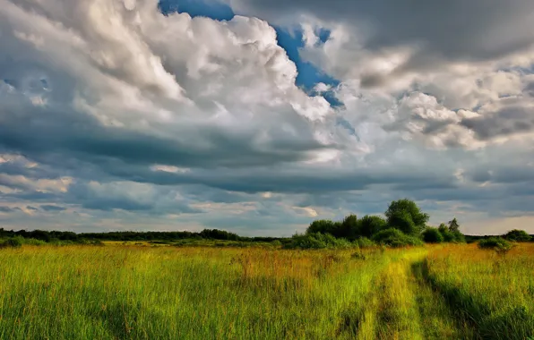 Picture road, the sky, clouds, meadow