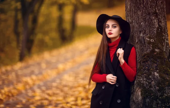 Autumn, look, leaves, trees, pose, Park, model, portrait